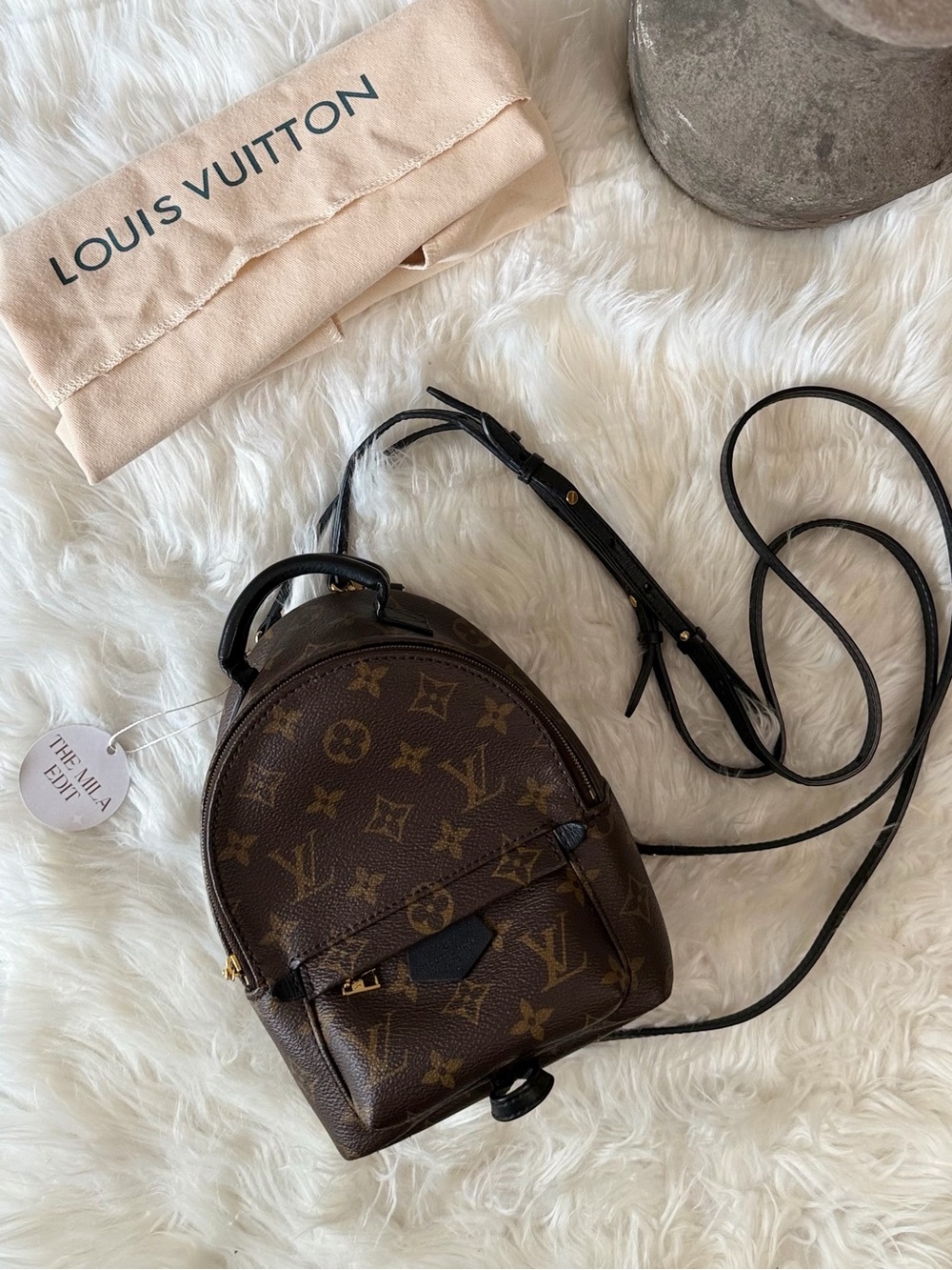 Louis Vuitton Monogram Mini Backpack in Brown and Black